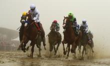 Belmont Stakes Preview: Gronk to ruin Justify party