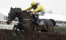 Weekend action: Four exciting jumps horses to note