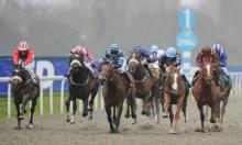 Hot To Trot: Sparkalot can win again for Dow