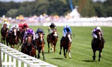 St Leger Preview: Gardener's world