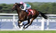 Nic Doggett: King for a day