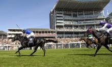 Hot To Trot: Dow quietly going about his business