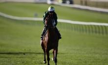 Vertem Futurity Trophy Preview: Is Kinross the real deal?