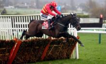 Hot To Trot: Murphy in fine form