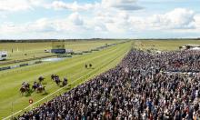 Hot To Trot: Sir Mark the one to follow