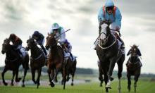 Prix Robert Papin: Prince can become king in France