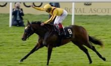 Royal Ascot 2017: The North American runners