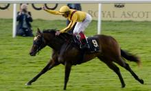 Royal Ascot 2018: The hottest head-to-heads