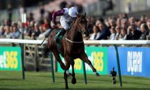 Sun Chariot Stakes Preview: Laurens back for more