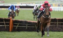 Laurina: Focus on the Flat Formula