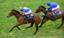 Irish Preview: September come early?