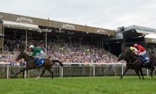 Ratings Update: Limato warms up nicely for July Cup