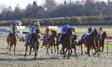 Simon Rowlands: 2016 All-Weather Finals Day Preview