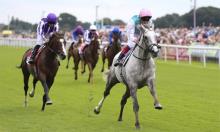 Ratings Update:  Logician the pick of this year's classic winners