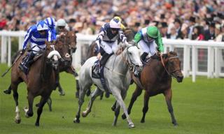 Timefigure preview: Champions Day