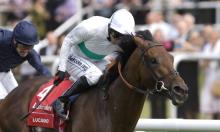 Lingfield Derby Trial Preview: Smart Tart the value play