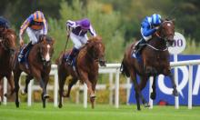 Irish Preview: Champions Weekend