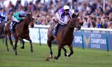 Irish 2000 Guineas Preview: Magna another Ballydoyle machine
