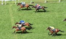 Nell Gwyn Stakes Preview: Moore sitting on a first Edition