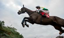 Sectional Debrief: Festival Trials Day