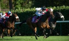 Elite Racing Club: Marsh-ing on together 