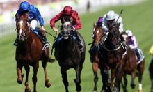 Hot To Trot: Appleby continues full steam ahead