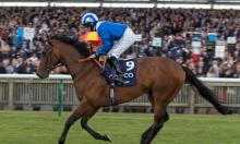 Mill Reef Stakes Preview: Zaat's the way to do it