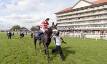 Ratings Update:  Angel delight in Curragh Group 2 