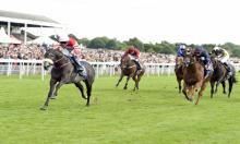 Temple Stakes: Angel solid but Profitable can fly high too