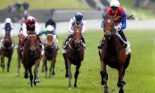 From the all-weather to Epsom: How the Oaks is changing