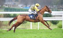 Irish Preview: Dublin Racing Festival Day 1