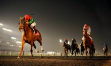 Meydan: Three Best Bets For Thursday