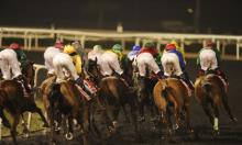 Arrogate: Adding up Achievement