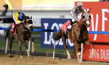 Weekend preview: Talismanic - a horse you can't miss