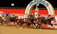 Dubai World Cup Carnival 2018: Five things to look forward to