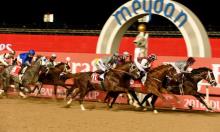 Ratings Update: Confusion at Sandown but a Super Saturday in Dubai