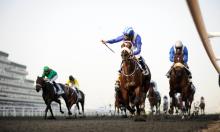 Meydan Best Bets: Walking on sunshine