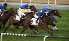 2017 Timeform Global Rankings