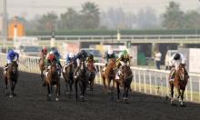 Dubai Carnival Horses To Watch: From West to East