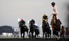Meydan Best Bets: Thursday 3 January