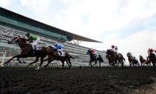 Dubai Carnival: Five to follow