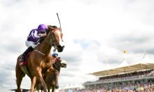 Prince of Wales's Stakes Preview: It's Magic, you know? 