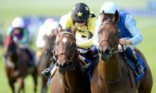 Future Champions Festival Day One 2016: Spatial awareness is key