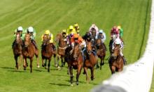 Best Handicap Performances: Ayr Gold Cup