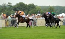 Coronation Stakes: Nemoralia can continue progression