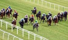 Ratings Update: Rascal going the right way