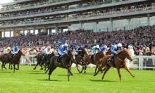 Victoria Cup Preview: Good to Firmament