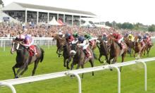 Sectional Debrief: Ebor Handicap day, York Ebor Festival