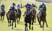 Rowleyfile Preview: Northumberland Plate