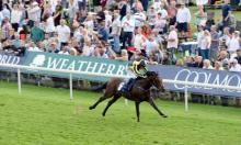 Hot To Trot: Chuckles can give Loughnane reason to smile